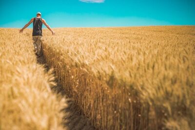 Agricultor