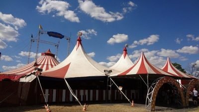 Capataz (Circo)