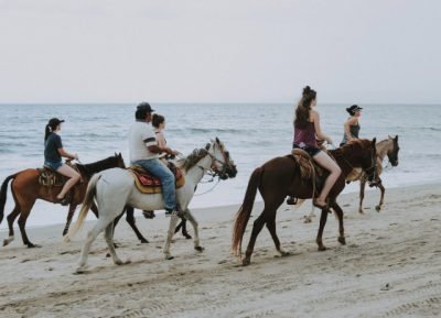 Guia de Turismo Equestre