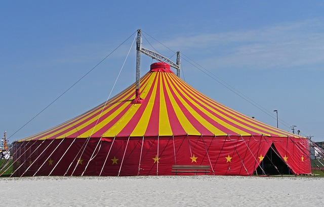Secretário de Frente (Circo)