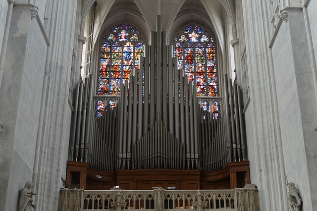 organista